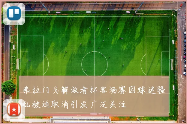 弗拉门戈解放者杯客场赛因球迷骚乱被迫取消引发广泛关注